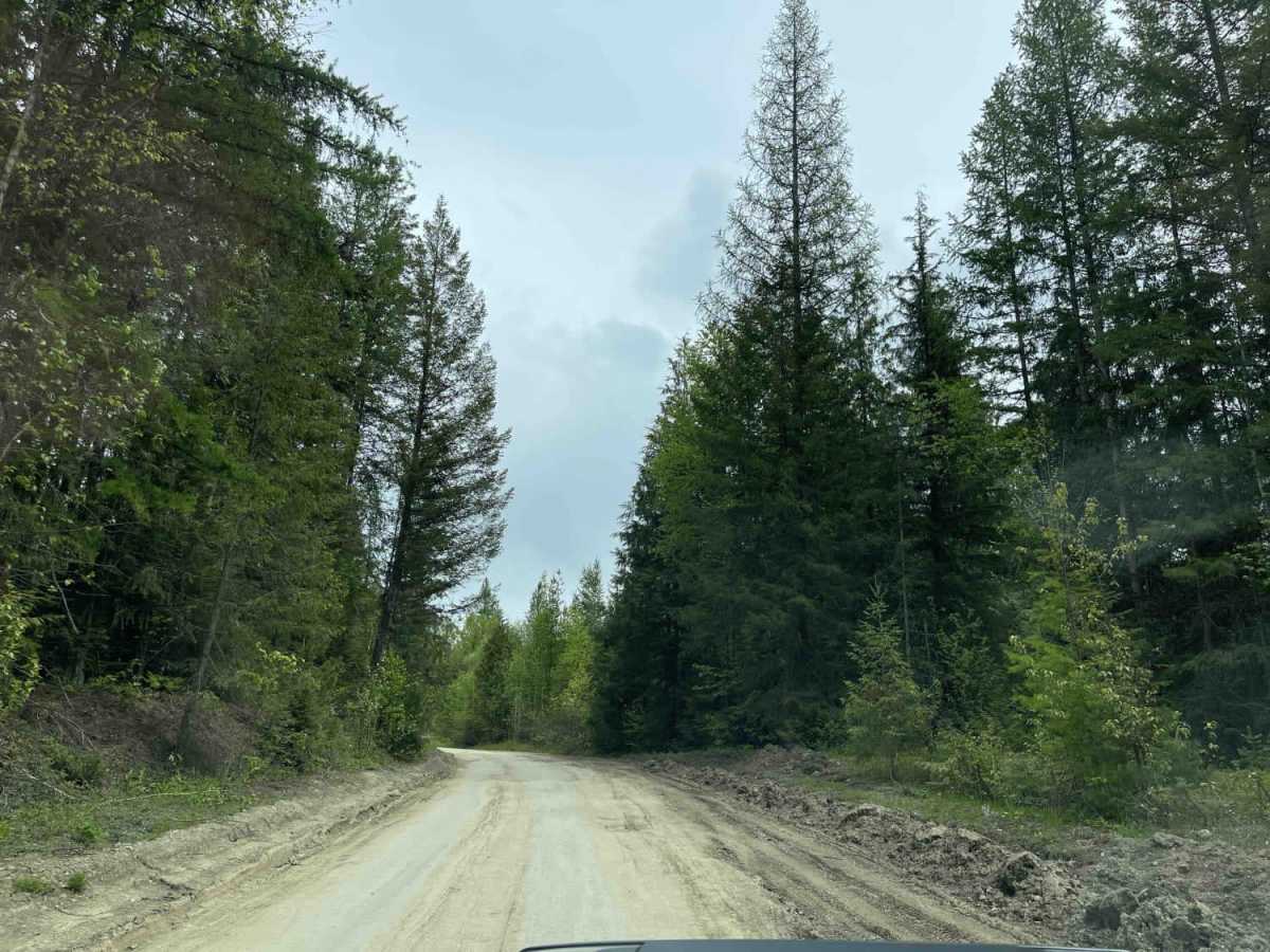 Hidden Lake Road photo 4