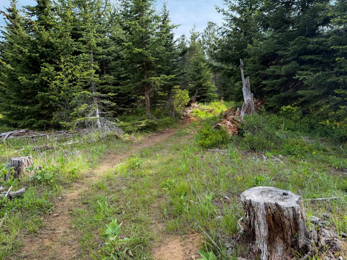 Round About - Trail 406 photo 2