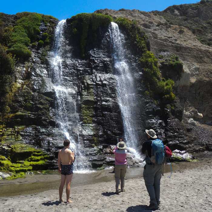 Near Alamere Falls Trail