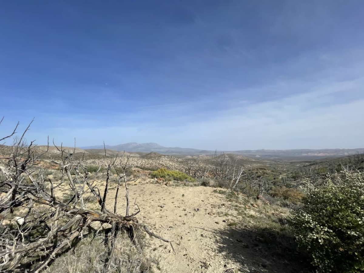 Up & Out Of Oak Patch Wash trail photo