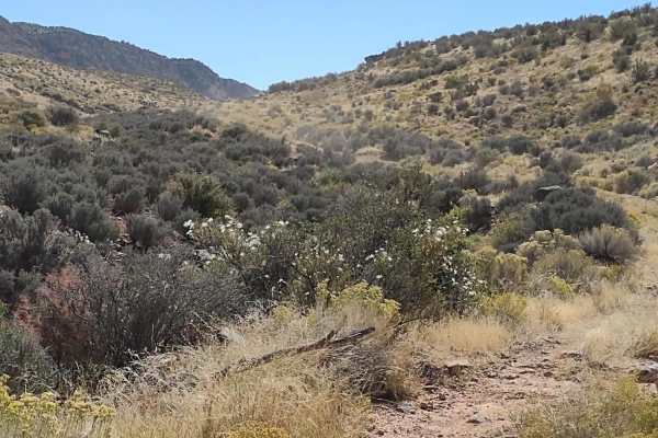 Seegmiller Overlook