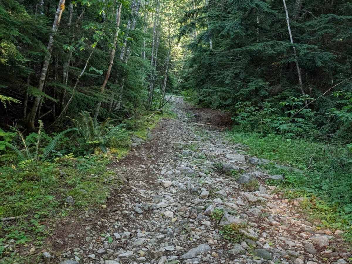 Middle Fork photo 4