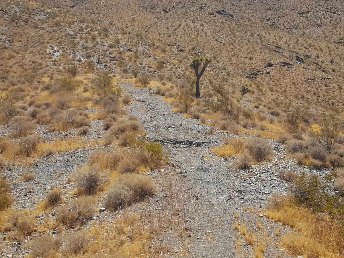 Trail 53 photo 3