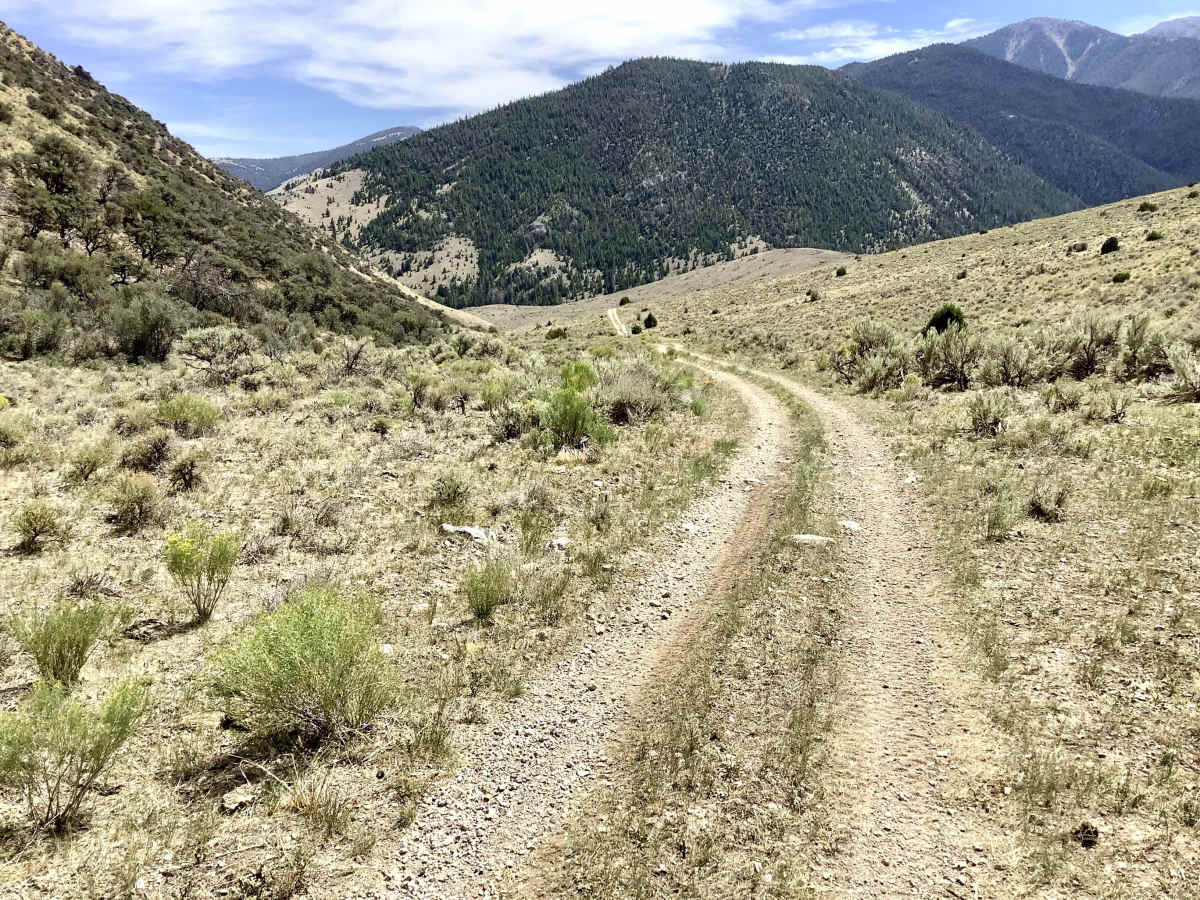 Deer Basin Trail photo 5