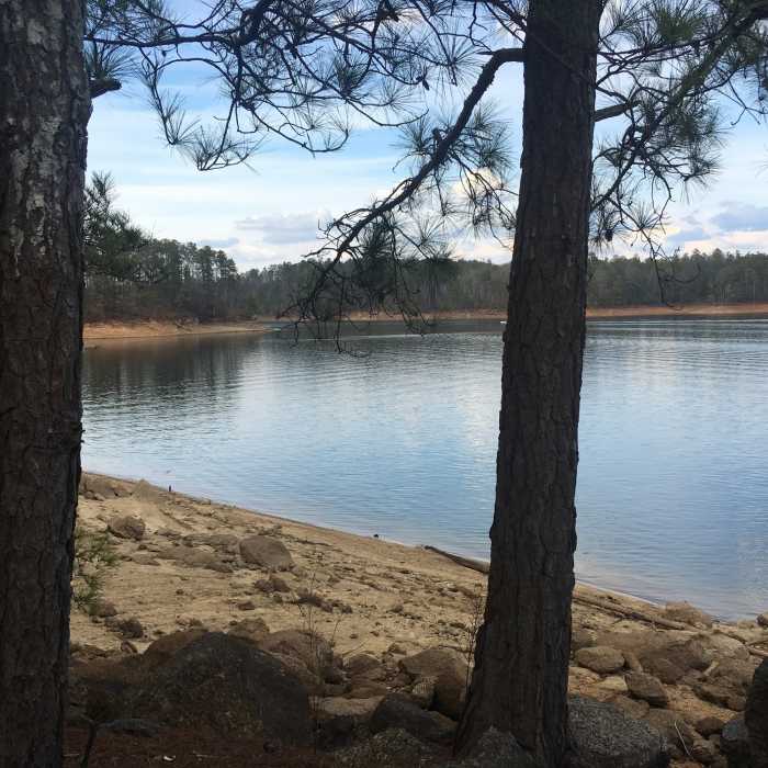 Near White Tail Trail