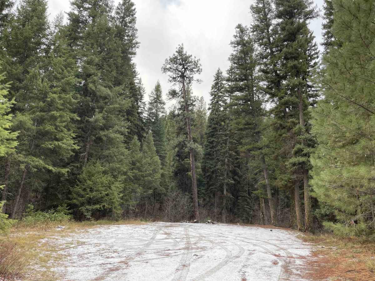 Trapper Creek Trailhead photo 4
