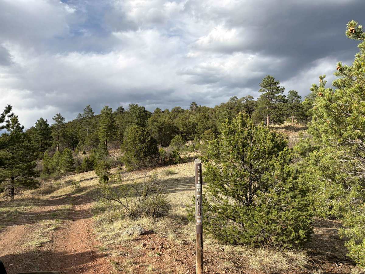 BLM 6170A photo 2