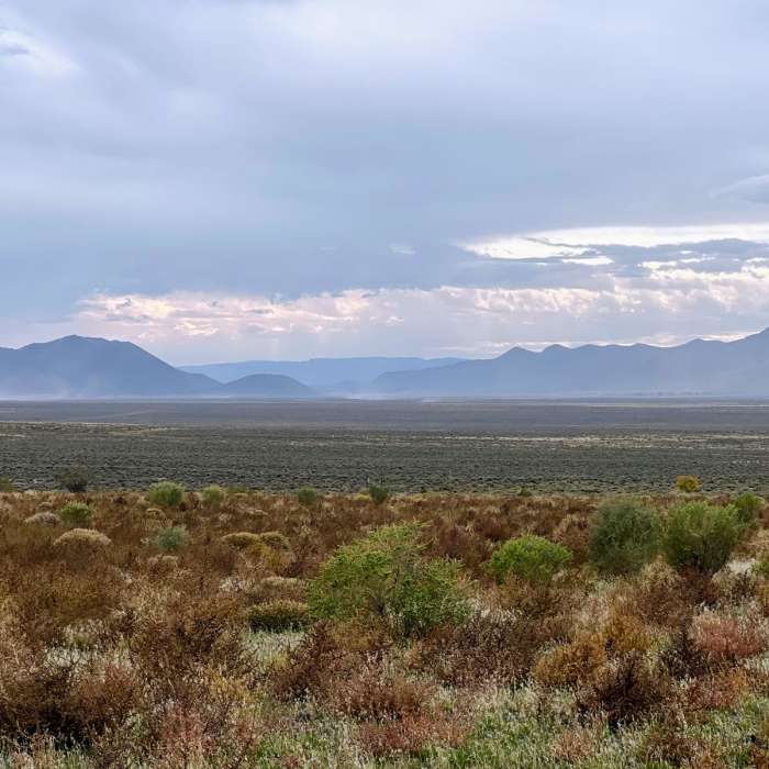 Near Denio to Windy Pass Near Denio to Windy Pass