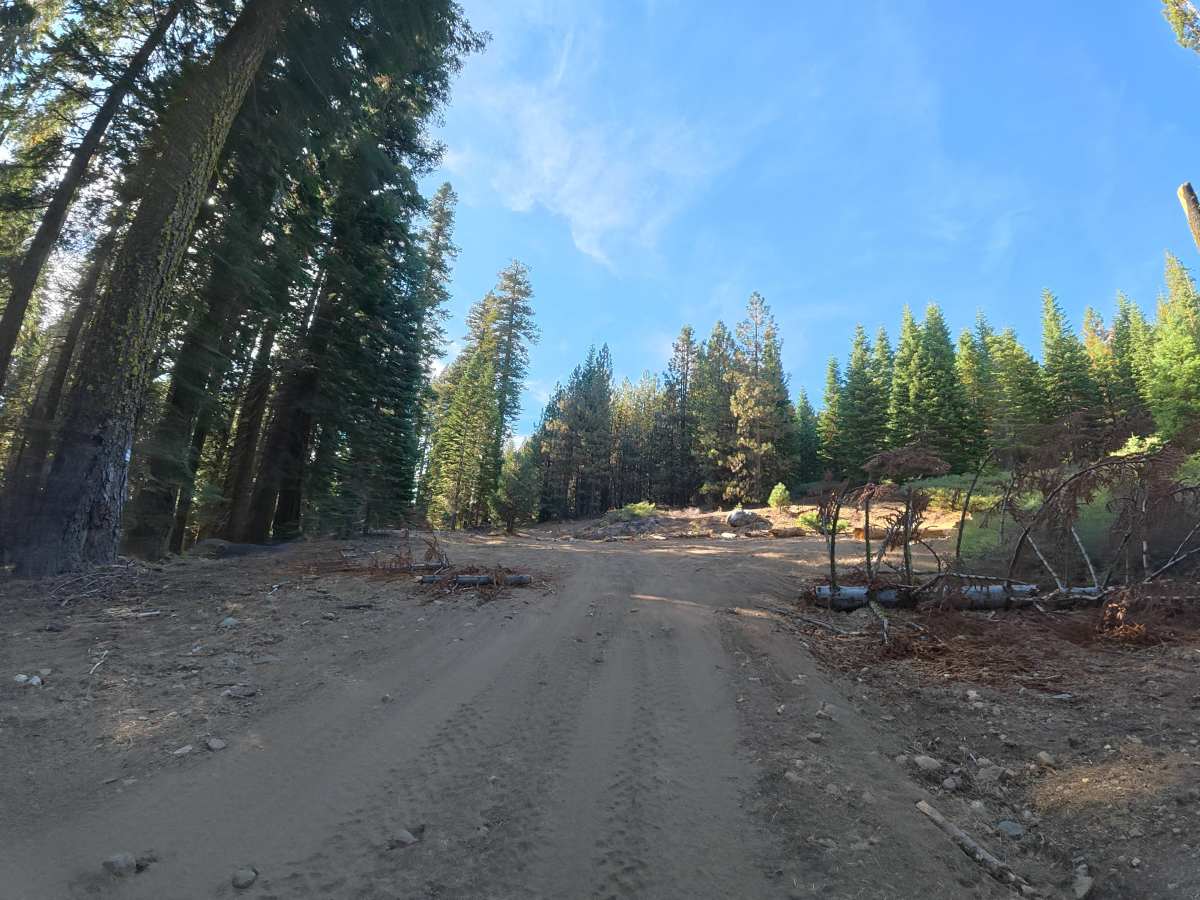 Big Rattlesnake Creek photo 2