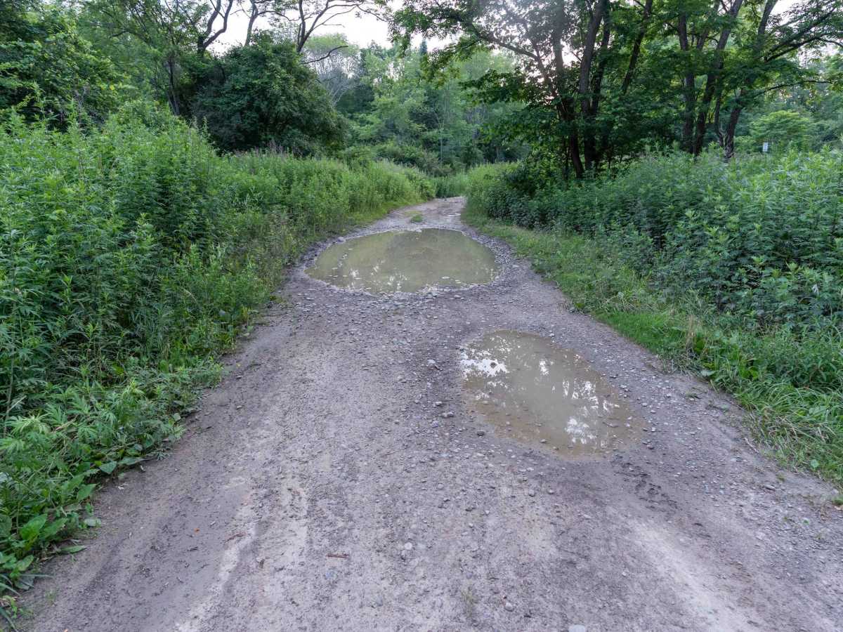 Sullivan Road photo 4