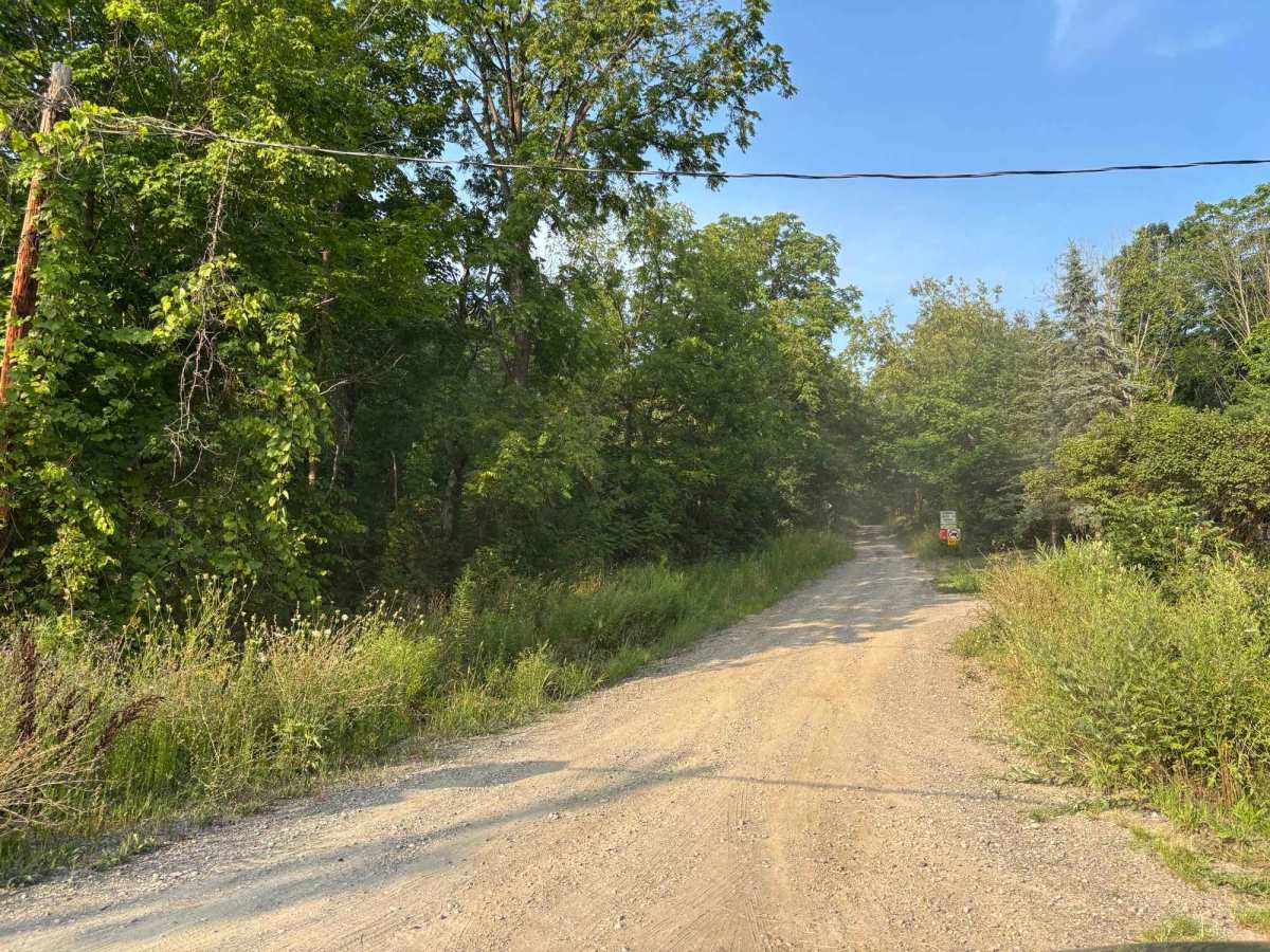 Wise Road photo 6