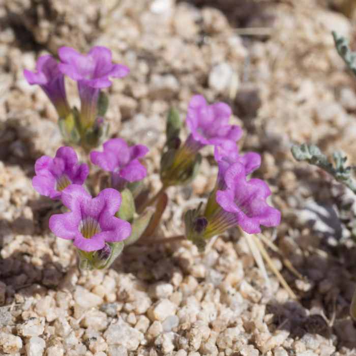 Near Wall Street Mill Hike
