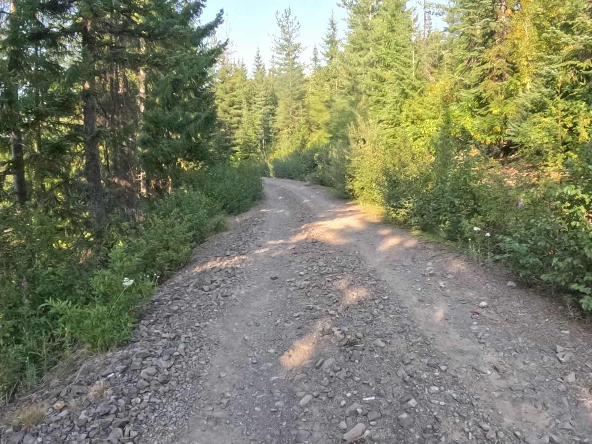 Trappers Butte - FS 1161 photo 4