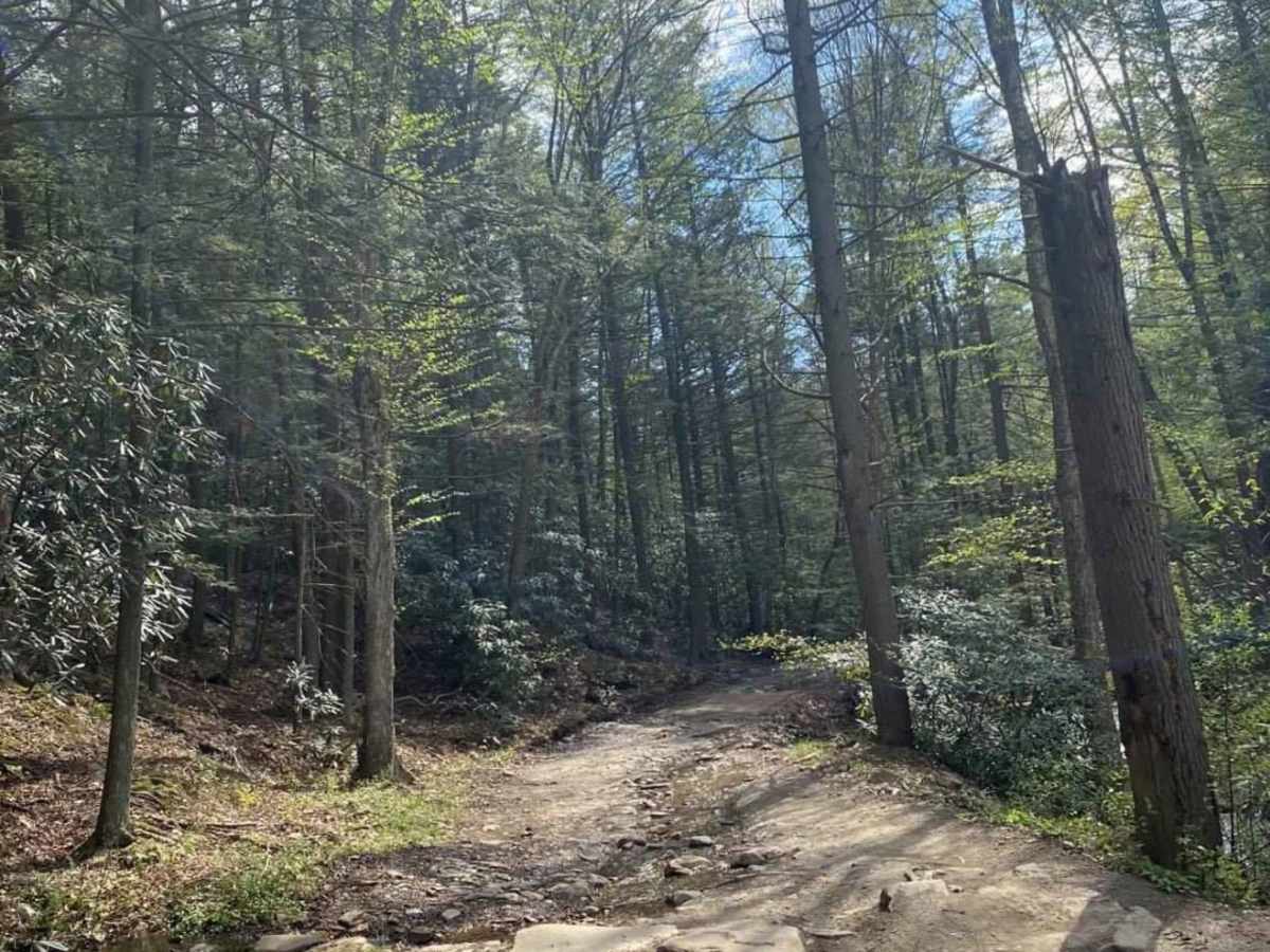 Ore Mine Road photo 4