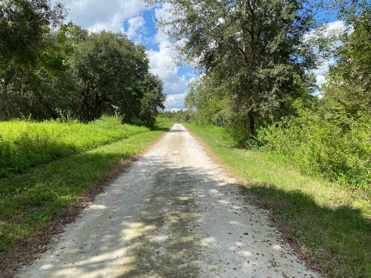 Dove Field Road trail photo