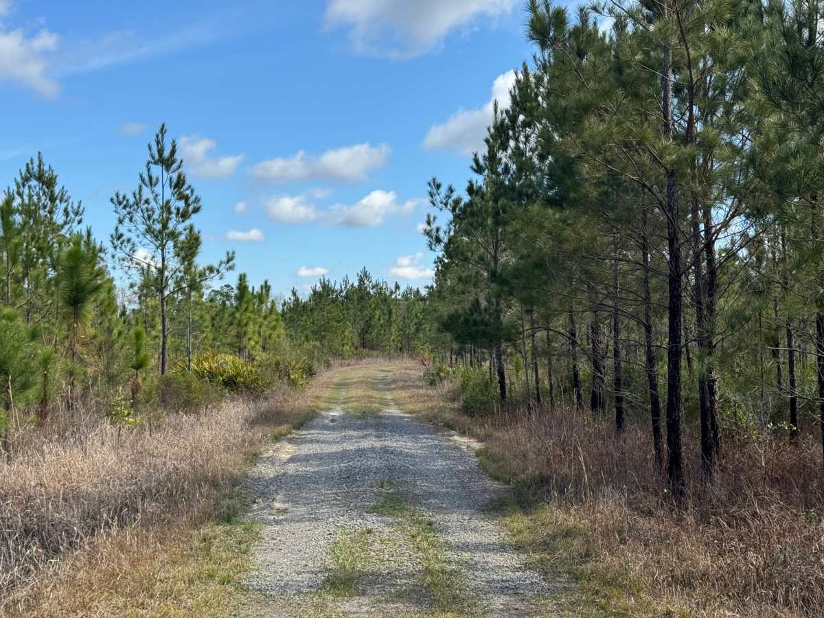 Brown Road photo 2