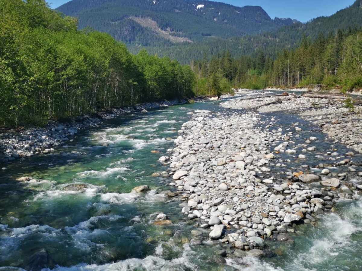 Mystery Creek Road photo 3