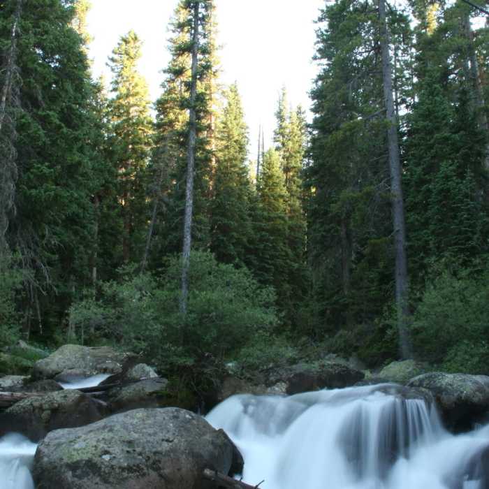 Near Wild Basin Trail
