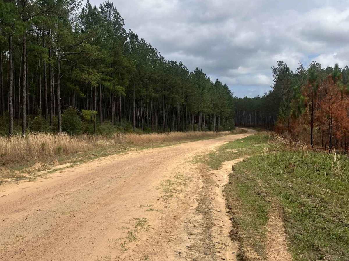 Gravel Landing photo 2