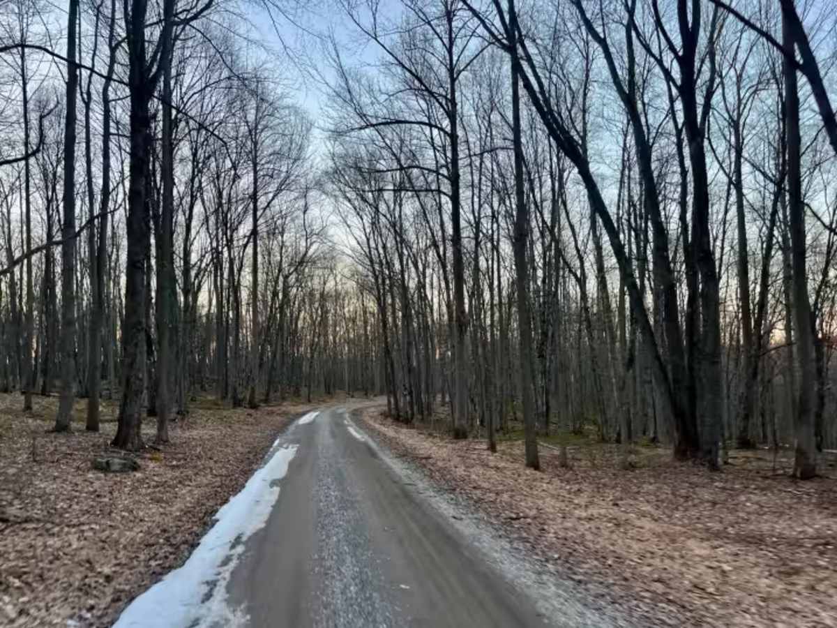Laurel Ridge Road photo 4