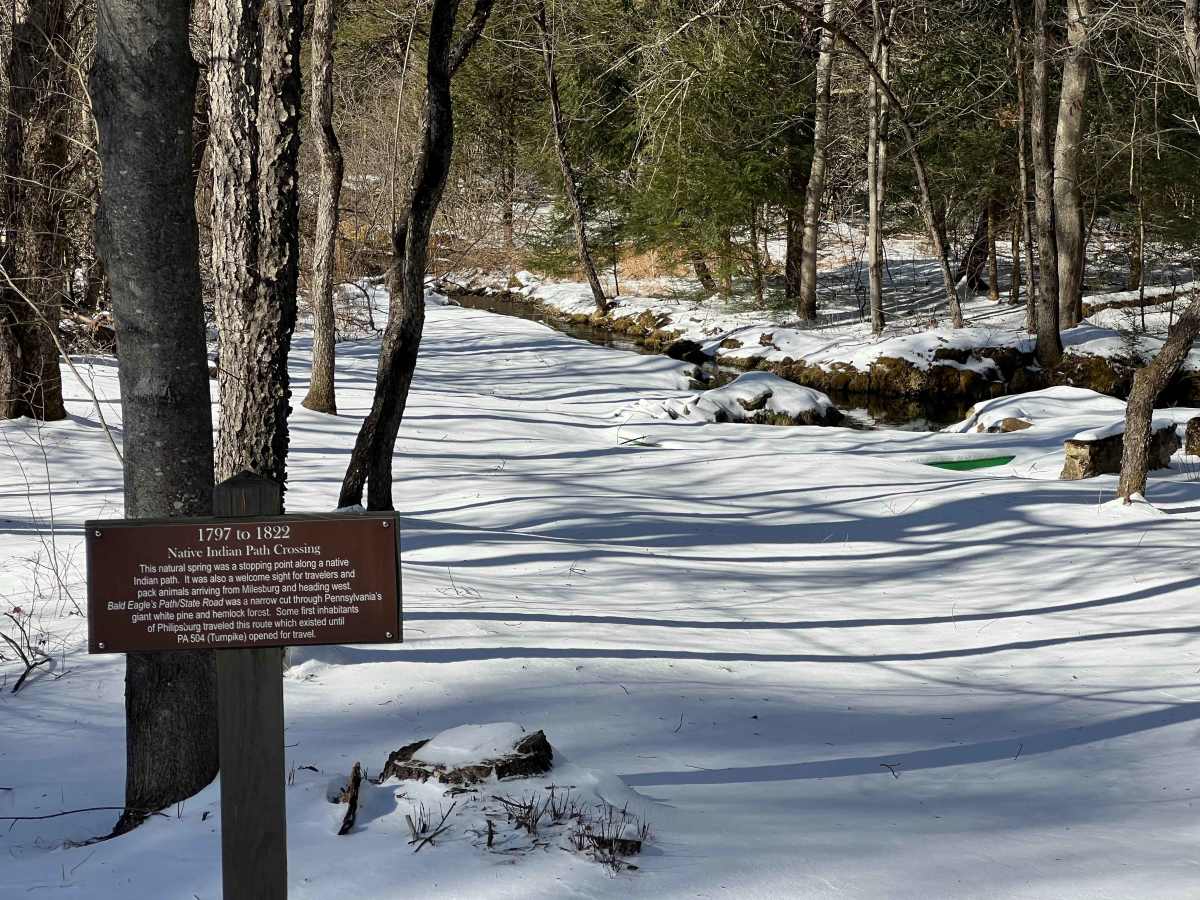 Beaver Meadow Trail photo 2