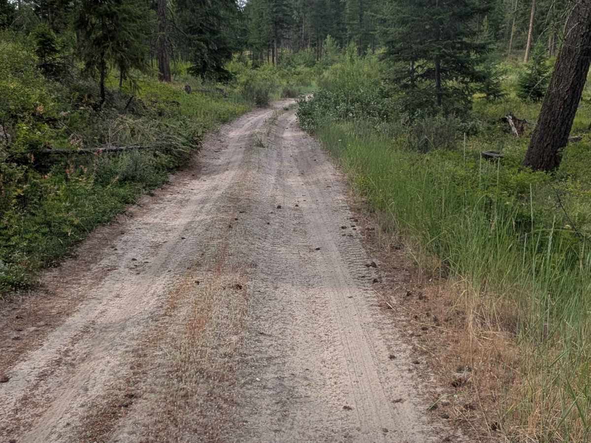 South Cook Mountain photo 4