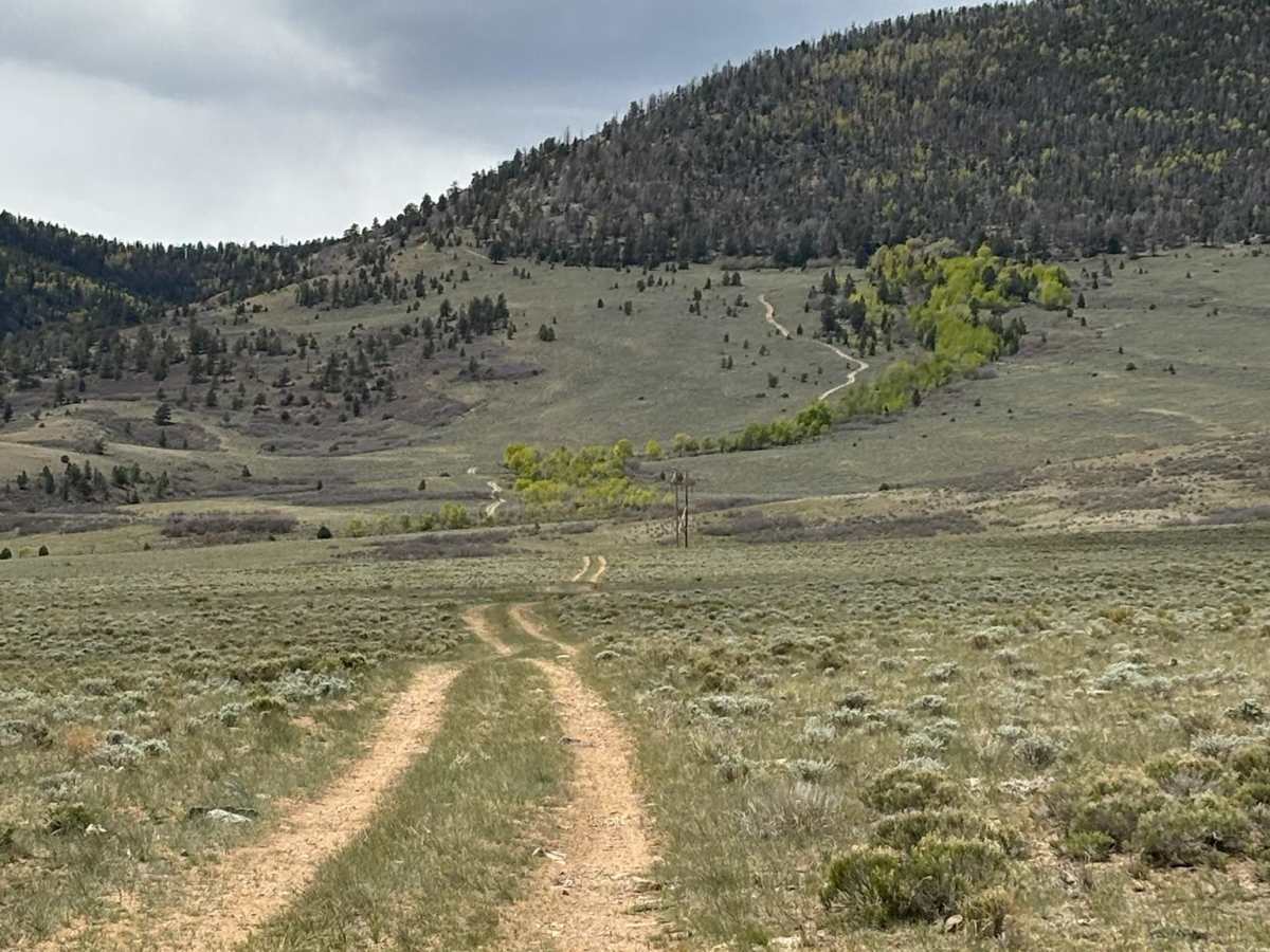 Turquoise Road photo 2
