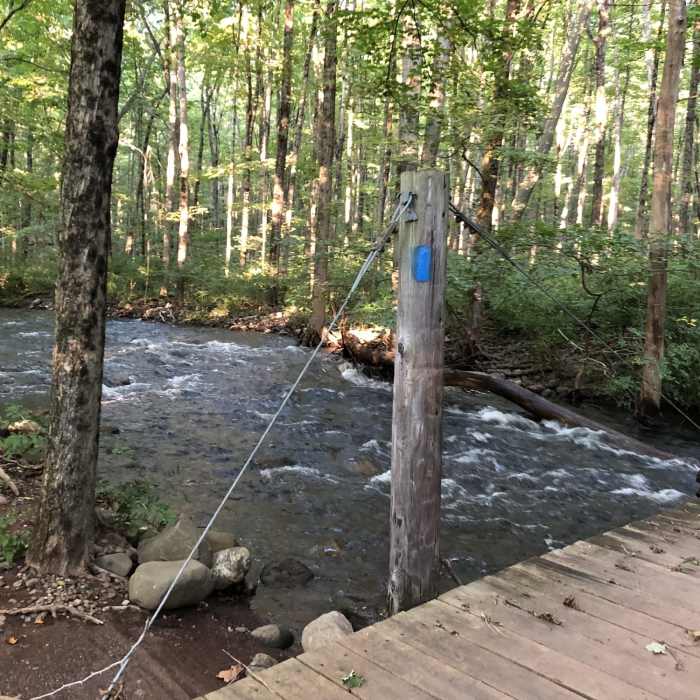 Near Bishop Estate East Loop Trail (Red)