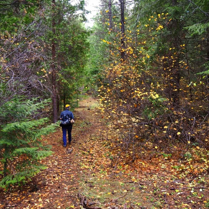 Near Willow Prairie North Loop #1091D