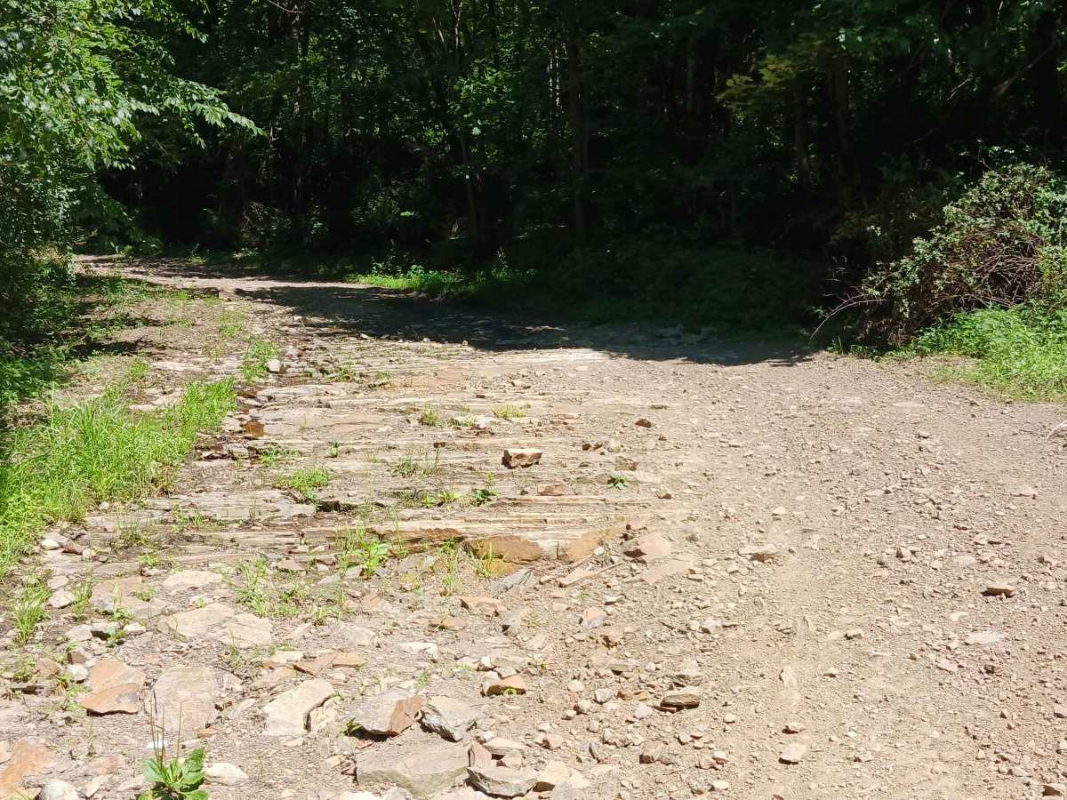 Holtz Hill Road - Rock Run Recreation Area photo 5