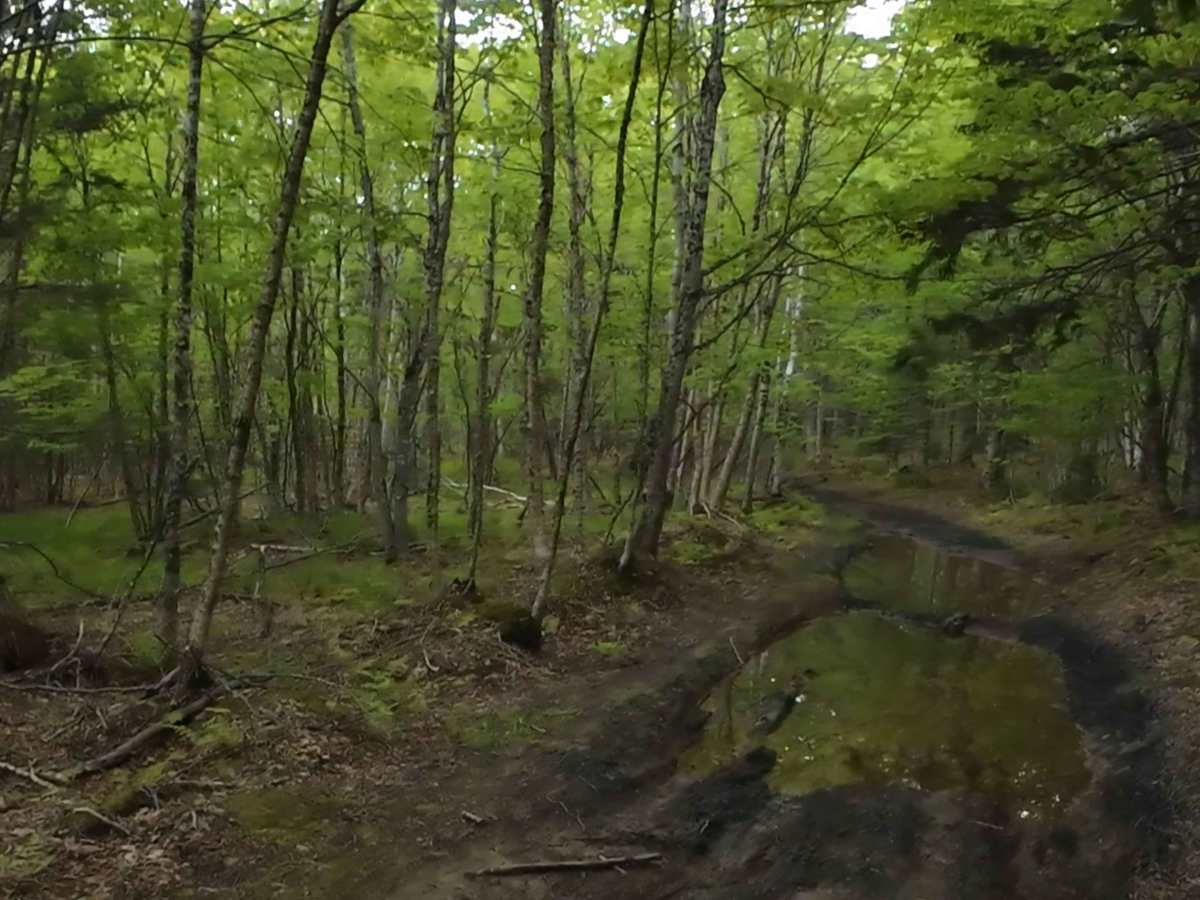 Beaumont Inland Trails photo 2
