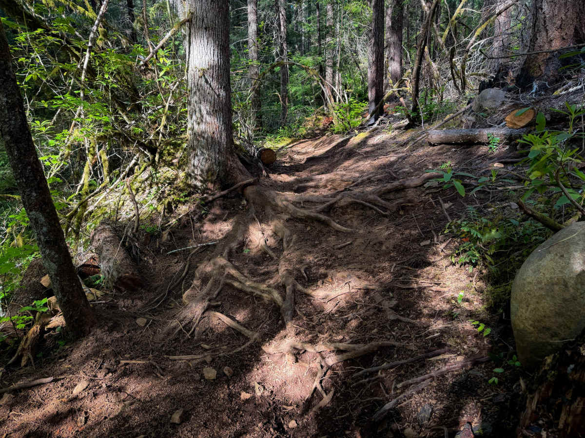 303 trail photo