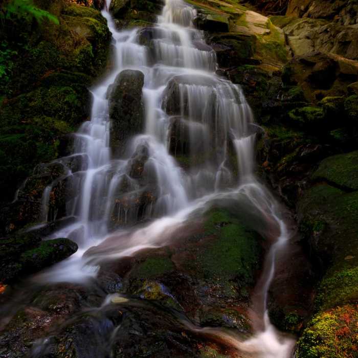 Near Siouxon Creek Hike