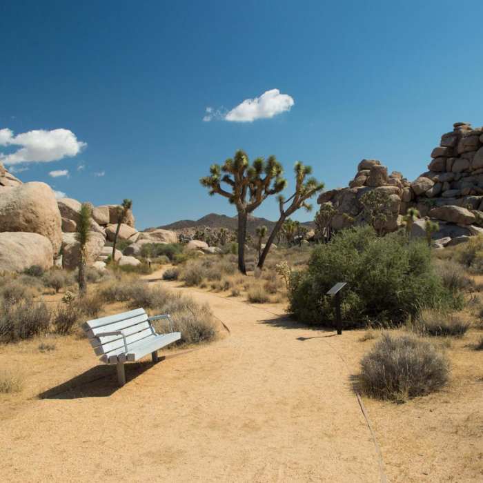 Near Cap Rock Nature Trail
