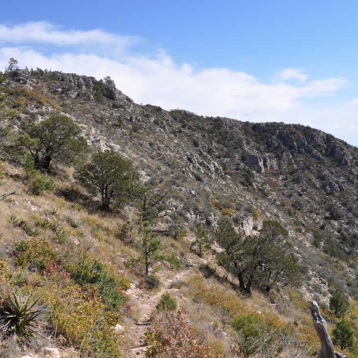 Near Bear Canyon Loop