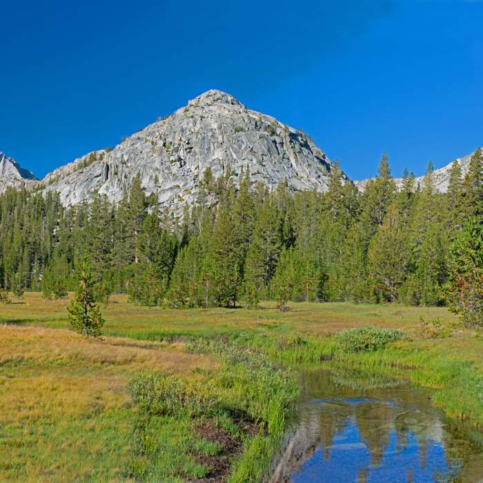 Rosemarie Meadow. Near Sandpiper Lake Trail