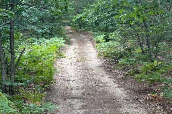 East Buchanan-Pierce Trail