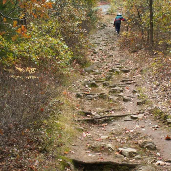 Hiking up Whipple Hill. Photo provided by the Town of Lexington, Conservation Division. Near Whipple Hill Loop