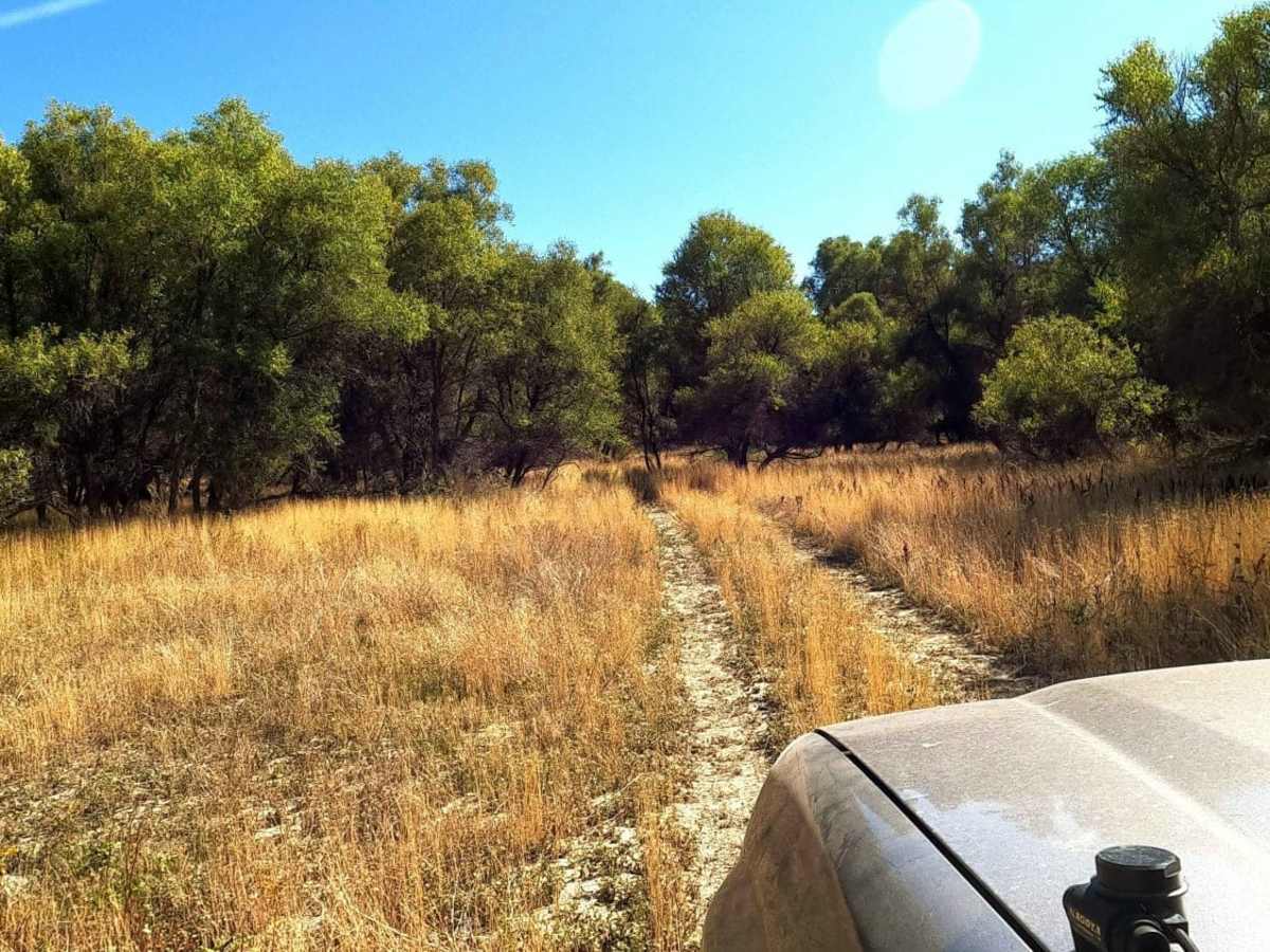 Owyhee River Trail photo 5