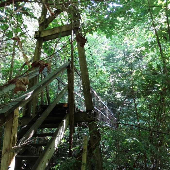 Near Sheltowee Trace NRT - Section 24 Central to Suspension Bridge