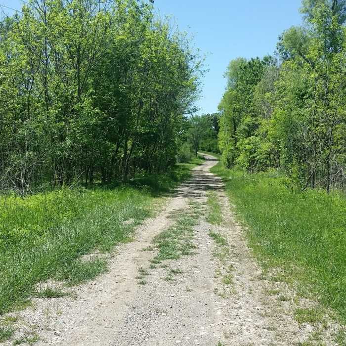 Near Eagles Loop