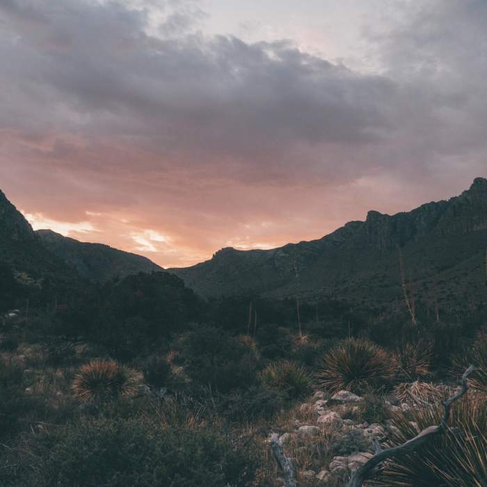 Near Manzanita - Smith Spring Loop