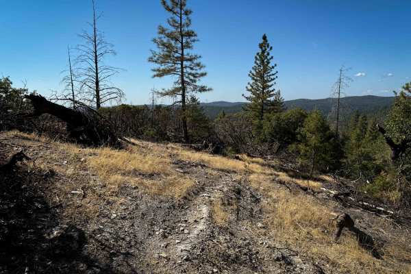 Trail 1-5 (11E51) 