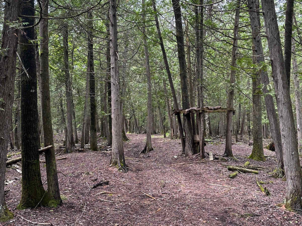 Deer Stand photo 4