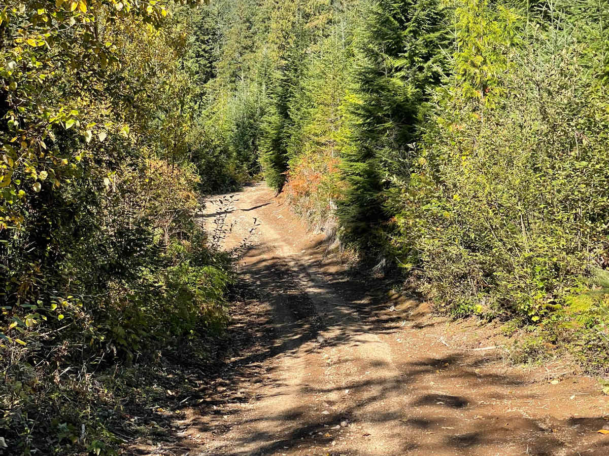 Skidder Hill photo 5