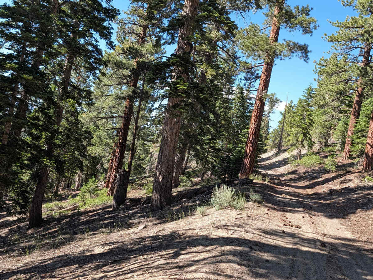 Flats Road - FS 3S57 photo 3