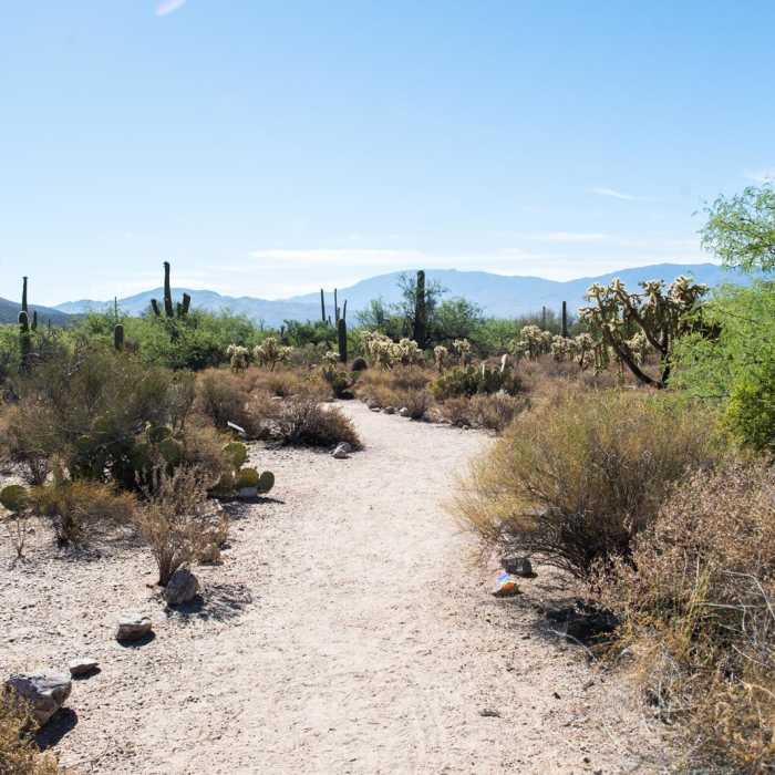 Near Bajada Nature Trail