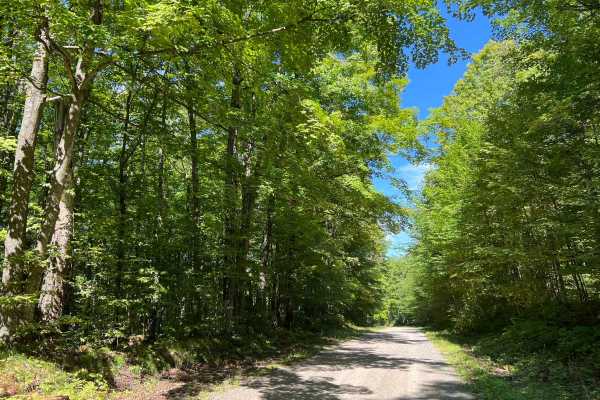 Goose Creek Road - FS 2367