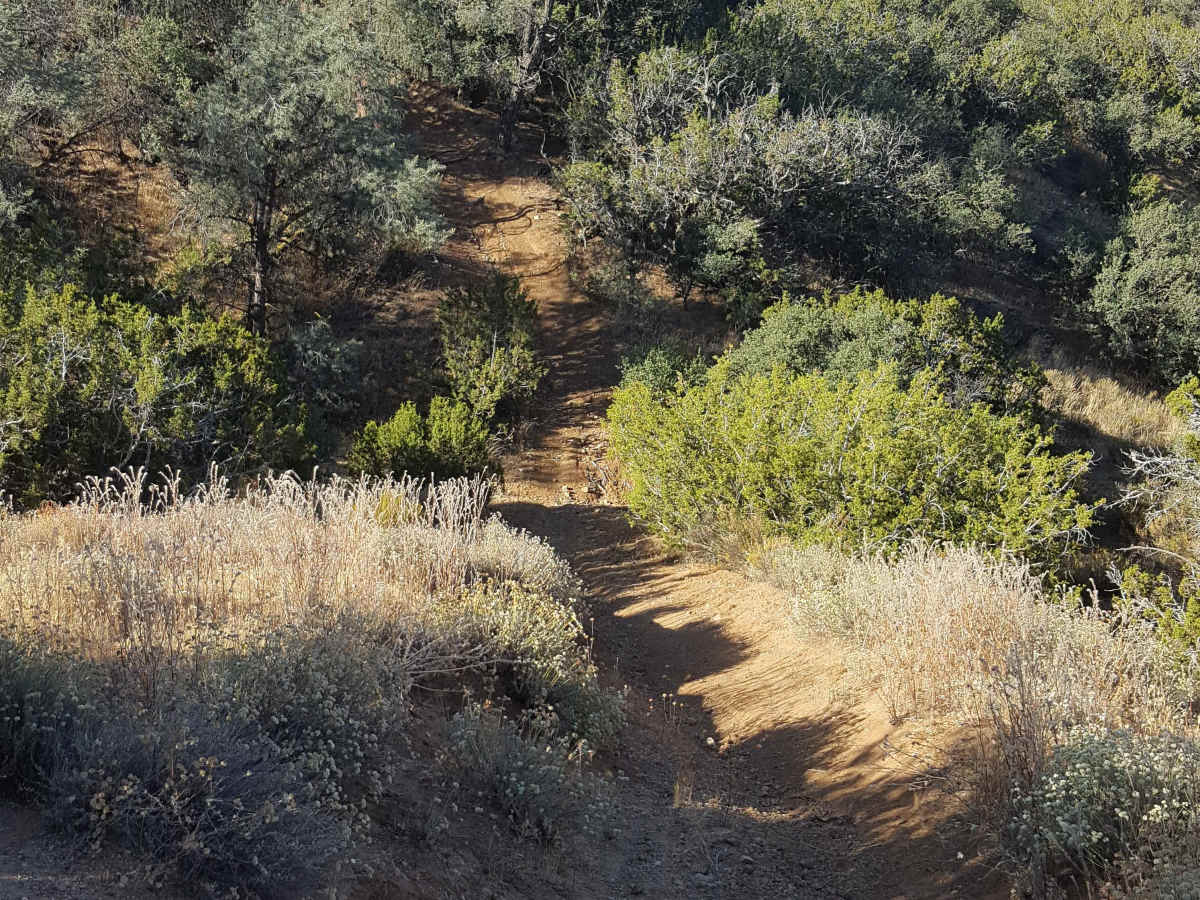 Trail 19 photo 6