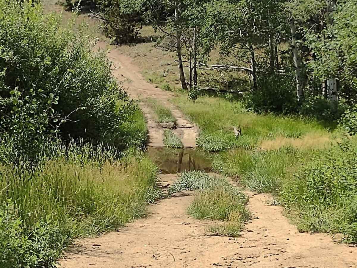 Puddle Splasher photo 4